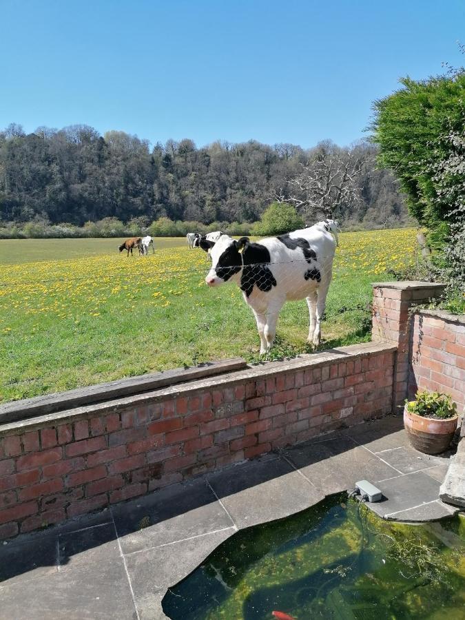 Riverside Appartement Chepstow Buitenkant foto